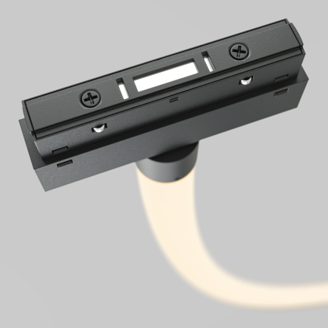 Подвесной светильник Maytoni Technical Tau TR101-2-100W3K-B 