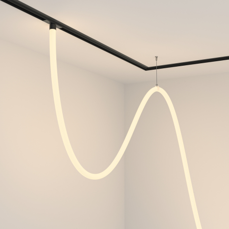 Подвесной светильник Maytoni Technical Tau TR101-2-100W3K-B 