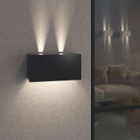 Уличный светодиодный светильник IP54 Elektrostandard Winner Double 35137/W черный (a057136)