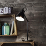 Настольная лампа офисная Eglo Priddy 49469 