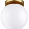 Накладной светильник Odeon Light Bosco 4247/1C
