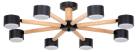 Потолочная люстра Arte Lamp TENDA A1624PL-8BK