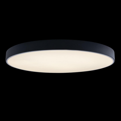 Накладной светильник Loft it Axel 1 10002/48 Black 