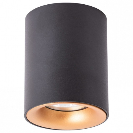Накладной светильник Arte Lamp Torre A1532PL-1BK 