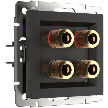 Розетка акустическая без рамки Werkel черный матовый W1185008