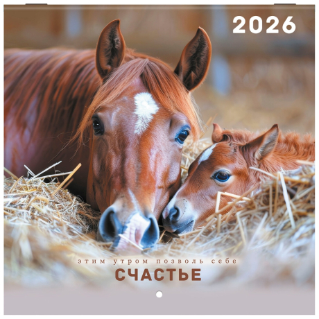 Нарушена упаковка!  <842853> Календарь настенный перекидной 2026 г., BRAUBERG, 12 листов, 21,4х21,4 см, МИНИ, "Благородные лошади", 116947