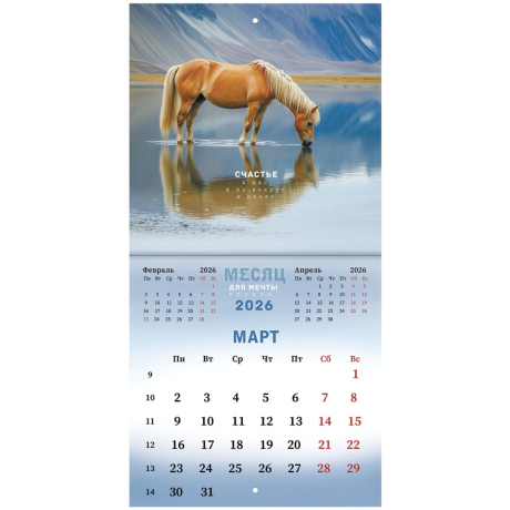 Нарушена упаковка!  <842853> Календарь настенный перекидной 2026 г., BRAUBERG, 12 листов, 21,4х21,4 см, МИНИ, "Благородные лошади", 116947