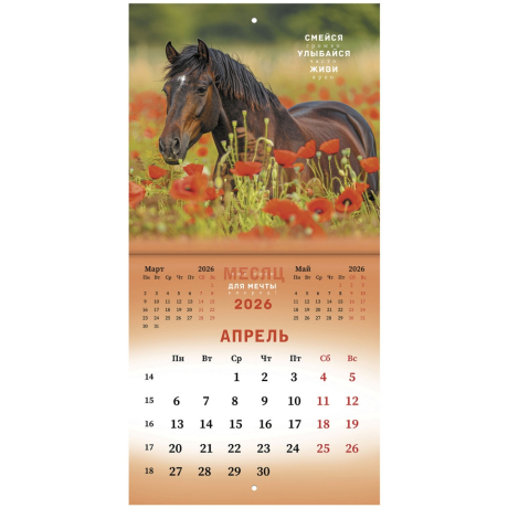 Нарушена упаковка!  <842853> Календарь настенный перекидной 2026 г., BRAUBERG, 12 листов, 21,4х21,4 см, МИНИ, "Благородные лошади", 116947