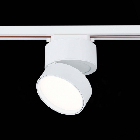 Светильник на штанге ST-Luce ST651 ST651.546.14 