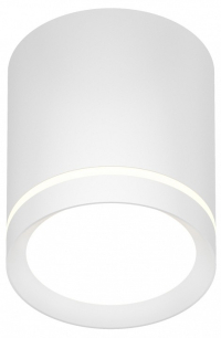 Накладной светильник Denkirs DK401 DK4013-WH