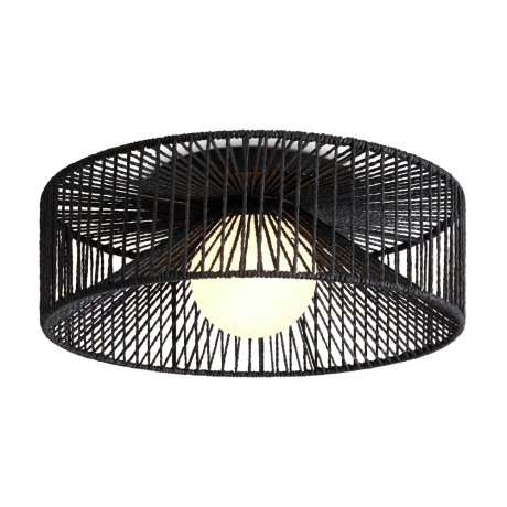 Накладной светильник Freya Cottage FR5405CL-01B 