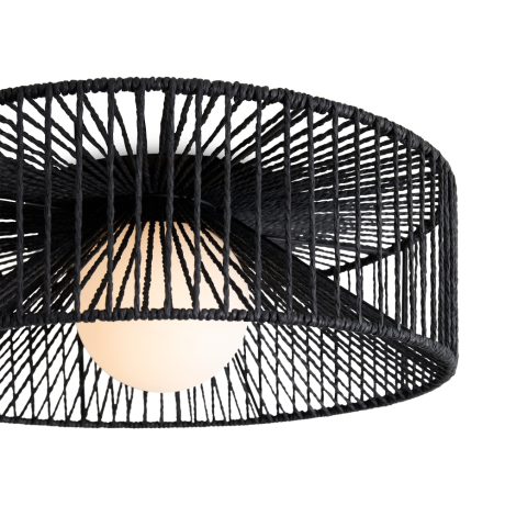 Накладной светильник Freya Cottage FR5405CL-01B 