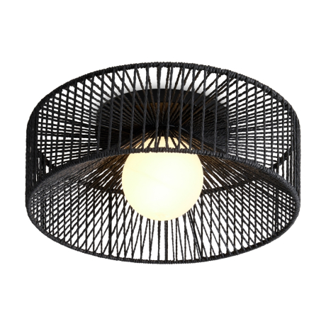 Накладной светильник Freya Cottage FR5405CL-01B 