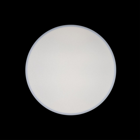 Накладной светильник Loft it Axel 1 10002/24 White 