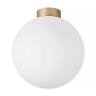 Накладной светильник Lightstar Globo 812033 