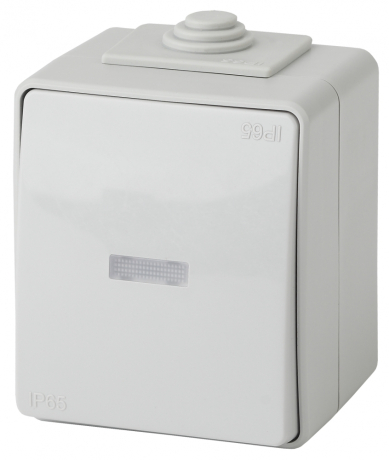 Переключатель одноклавишный с подсветкой ЭРА Эксперт 10AX 250V IP65 11-1610-03 Б0035981