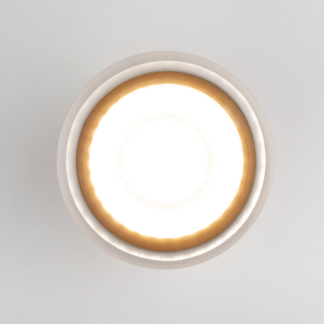 Уличный светодиодный светильник Elektrostandard Light LED 2107 IP54 35140/H серый (a057161)