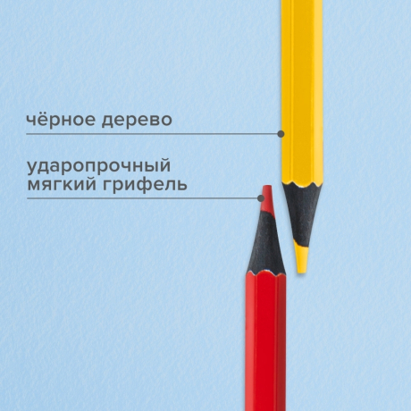 Нарушена упаковка!  <402387> Карандаши цветные BRAUBERG, 12 цветов, черное дерево, грифель мягкий 3,3 мм, 181856 (181856)