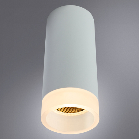 Накладной светильник Arte Lamp Ogma A5556PL-1WH 