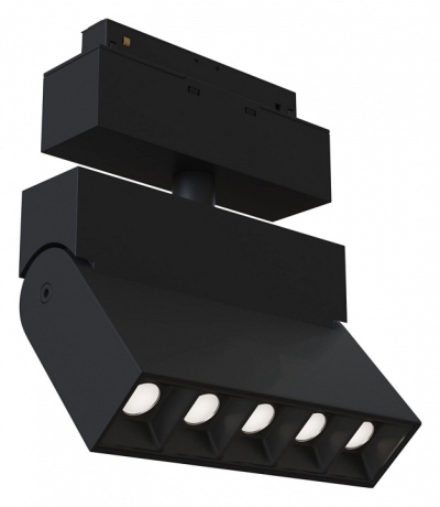 Светильник на штанге Maytoni Technical Points TR015-2-10W3K-B