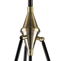 Светильник на штанге Lightstar Modena 816037