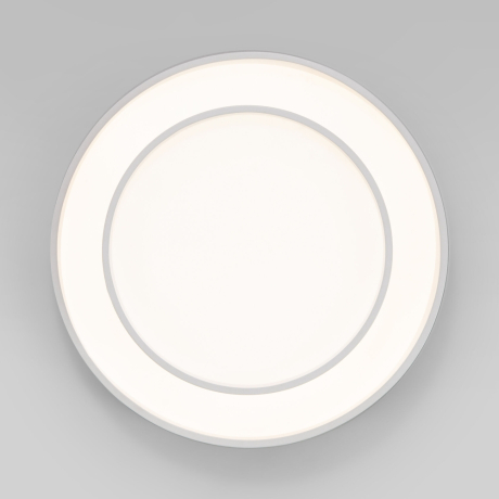 Потолочный диммируемый светильник Eurosvet Force 90331/2 (a065957) 