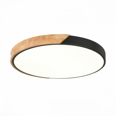 Потолочный светодиодный светильник Evoluce Festa SLE200942-01 