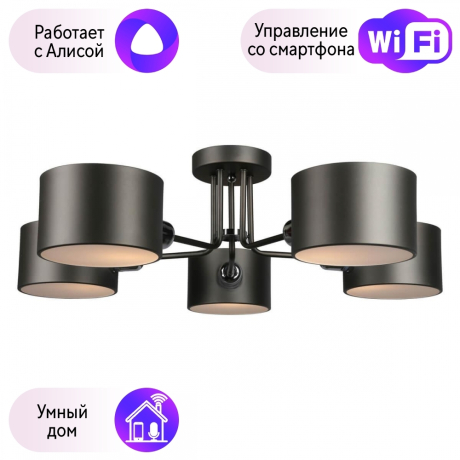 Люстра с поддержкой Алисы потолочная Omnilux OML-54507-05-A 