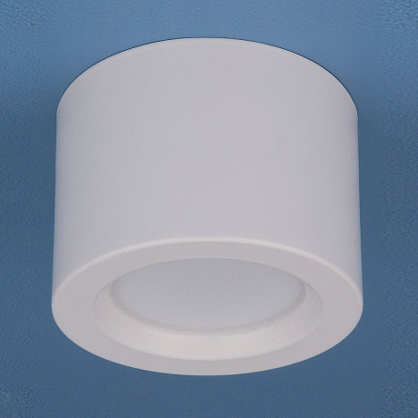 Накладной светильник Elektrostandard DLR026 a040440 