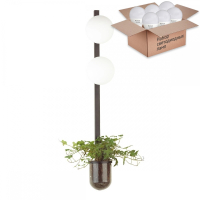 Бра с лампочками Odeon Light Flower 4681/2WA+Lamps E14 P45