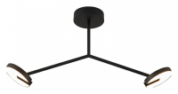 Светильник на штанге Favourite Paritet 4401-2C
