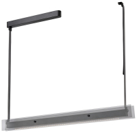 Светильник на штанге Wertmark Kuno WE435.12.023