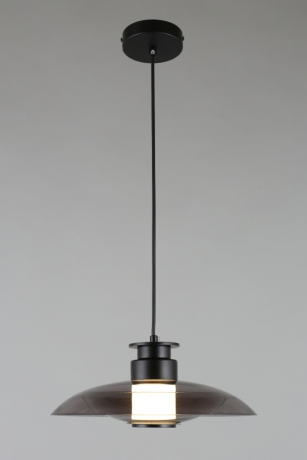 Подвесной светильник Aployt Stefa APL.648.06.10 