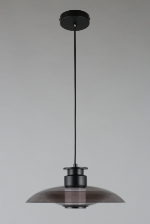 Подвесной светильник Aployt Stefa APL.648.06.10 