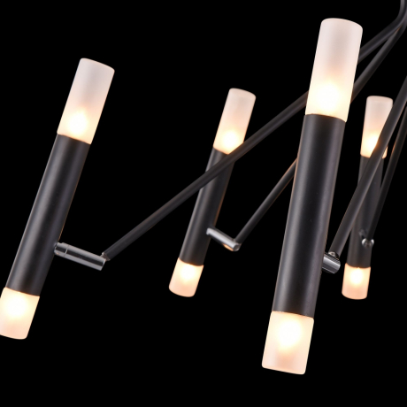 Потолочная люстра Maytoni Vigo MOD620CL-16B 