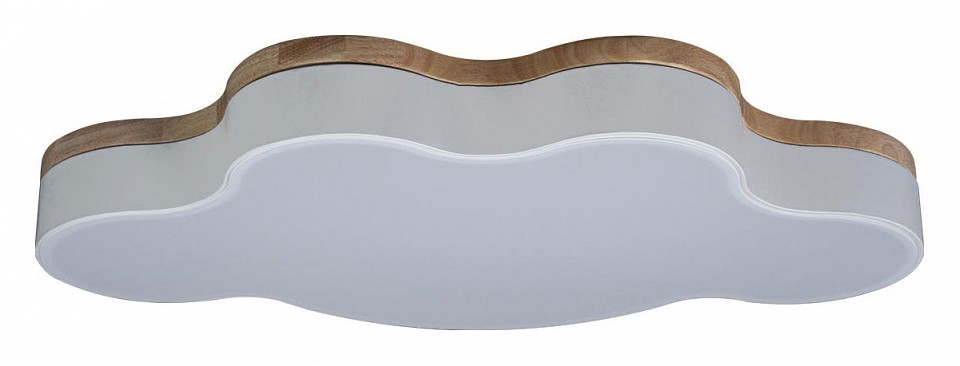 Накладной светильник Loft it Axel 4 10005/36 White 