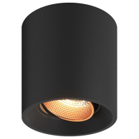 Накладной светильник Denkirs DK3040 DK3090-BBR