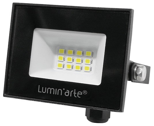 Настенно-потолочный прожектор Luminarte LFL LFL-10W/06
