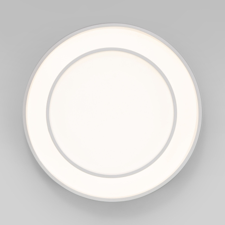 Потолочный диммируемый светильник Eurosvet Force 90330/2 (a065955) 