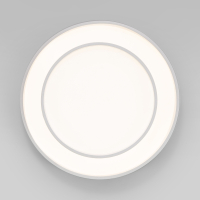 Потолочный диммируемый светильник Eurosvet Force 90330/2 (a065955)