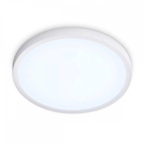 Накладной светильник Ambrella Light FZ FZ1951 