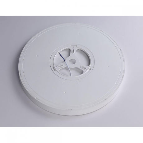 Накладной светильник Ambrella Light FZ FZ1951 