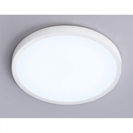 Накладной светильник Ambrella Light FZ FZ1951 