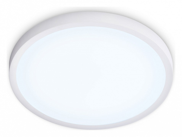 Накладной светильник Ambrella Light FZ FZ1951 