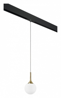 Подвесной светильник Lightstar Globo PRO813013