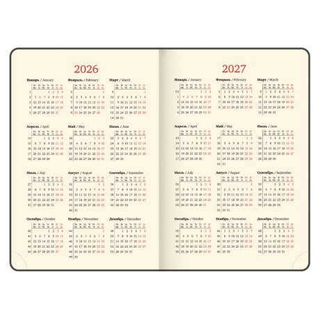 Нарушена упаковка!  <795085> Ежедневник датированный 2026 А5 138x213 мм, BRAUBERG "Iguana", под кожу, коричневый, 117057