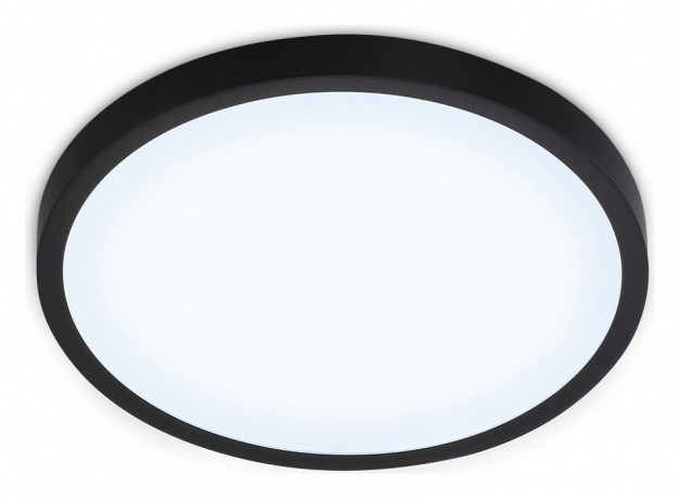 Накладной светильник Ambrella Light FZ FZ1953