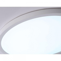 Накладной светильник Ambrella Light FZ FZ1955