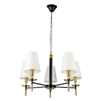 Подвесная люстра Arte Lamp Riccardo A4075LM-5BK