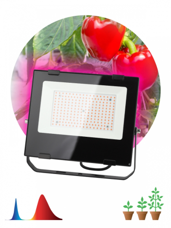 Нарушена упаковка!  <228600> Прожектор светодиодный ЭРА PRO 100W 1200K Fito-100W-RB-Led Б0046369